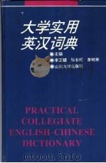 大学实用英汉词典 1996 PDF电子版封面 7560716423 李玉麟,孙长祥等主编