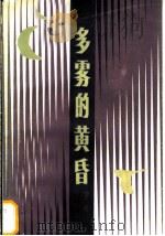 多雾的黄昏 短篇小说集 1984 PDF电子版封面 10115·531 字心著