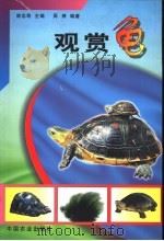 观赏龟 1999 PDF电子版封面 7109059944 谢忠明主编;周婷编著