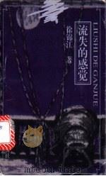 流失的感觉 1996 PDF电子版封面 7806133267 徐锦江著
