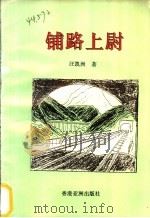 铺路上尉 1996 PDF电子版封面 9625393684 汪凯洲著