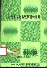 社会主义商品经济理论问题 1987 PDF电子版封面 7810050346 林庆民主编