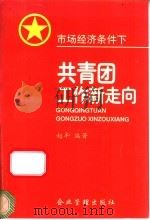 市场经济条件下共青团工作新走向   1996  PDF电子版封面  7800017400  赵丰编著 