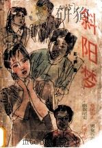 斜阳梦 1990 PDF电子版封面 7540705450 彭拜著