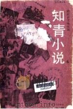 知青小说 蹉跎岁月咏叹调 1992 PDF电子版封面 7541101869 王安忆等著