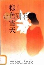 棕色雪天 1993 PDF电子版封面 7503303689 曹岩著