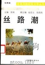 丝路潮 1990 PDF电子版封面 750390593X 张锐主编