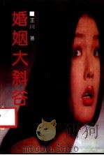 婚姻大斜谷 1991 PDF电子版封面 7538507132 王川著