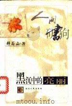 黑沉中的亮丽 1997 PDF电子版封面 7216021274 韩石山著