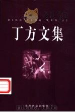 丁方文集 1998 PDF电子版封面 754021127X 丁方著