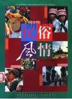 民俗风情 1999 PDF电子版封面 7535123406 徐德宽,万得梅,肖兵等编