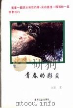 青春的彩贝 1993 PDF电子版封面 9624401921 唐丽著
