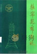 抚宁县邮电志   1994  PDF电子版封面  7800766160  抚宁县邮电局编 