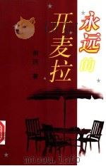永远的开麦拉 1997 PDF电子版封面 7506312166 胡玥著