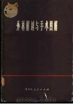 外科解剖与手术图解   1974  PDF电子版封面    哈尔滨医科大学《外科解剖与手术图解》编写组编著 