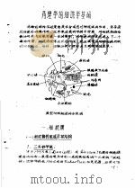 药理参考资料  2  药理学的细胞学基础（1976 PDF版）
