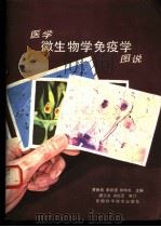 医学微生物学免疫学图说 1982 PDF电子版封面 14200·31 黄谷良主编