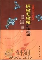 安徽沿江地区铜金多金属矿床地质 1998 PDF电子版封面 7116024921 唐永成等著