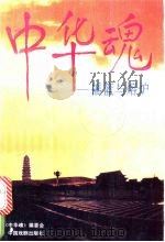 中华魂:摇篮与熔炉 1991 PDF电子版封面 7104003347 《中华魂》编委会编