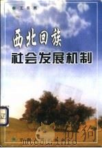 西北回族社会发展机制 1999 PDF电子版封面 7227019357 王永亮主编