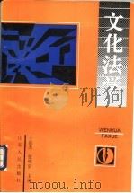 文化法学 1994 PDF电子版封面 7209016090 于洪杰,张明剑主编