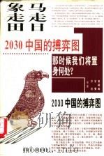 马走日 象走田 2030中国的搏弈图 1997 PDF电子版封面 7204038231 张藏藏等著