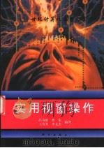 实用视窗操作   1996  PDF电子版封面  703005282X  吕奇恩等编著 