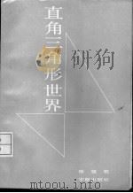 直角三角形世界 1987 PDF电子版封面 7244·0104 徐望根编著