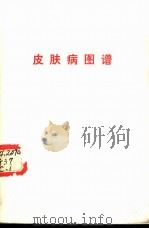 皮肤病图谱（ PDF版）