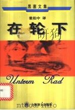 在轮下 上 1998 PDF电子版封面 7532721787 (德)赫尔曼·黑塞(Hermann Hesse)著;张佑中译