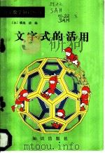 文字式的活用 1987 PDF电子版封面 7501500568 (日)横地清编;(日)山岸雄策著;刘正一译