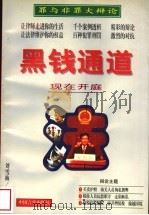 黑钱通道 1998 PDF电子版封面 7801280326 刘雪梅著