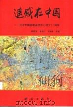 遥感在中国 纪念中国国家遥感中心成立十五周年论文集 1996 PDF电子版封面 7503008881 徐冠华等主编