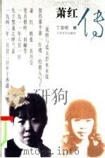 萧红传 1993 PDF电子版封面 7539905417 丁言昭著