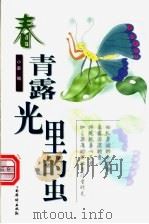 春·青露光里的虫 1999 PDF电子版封面 7801203550 小薪编