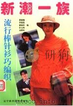新潮一族 流行棒针衫巧编织 1995 PDF电子版封面 7538119515 董素梅等编