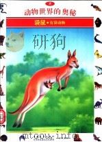 动物世界的奥秘 图集 5 袋鼠 有袋动物 1995 PDF电子版封面 7500620047 李广华译