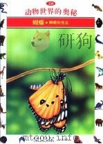 动物世界的奥秘 图集 26 蝴蝶 蝴蝶的变态 1995 PDF电子版封面 750062025X 傅大伟译