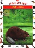 动物世界的奥秘 图集 21 河狸 水坝建筑师 1995 PDF电子版封面 7500620209 王杰译