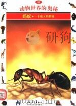 动物世界的奥秘  图集  31  蚂蚁  一个庞大的群体（1995 PDF版）