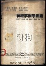 上海第一医学院 重庆医学院 神经解剖学图谱 1953 PDF电子版封面 齐登科主编