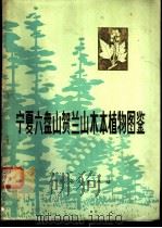宁夏六盘山、贺兰山木本植物图鉴 1979 PDF电子版封面 16157·47 冯显逵等编著