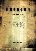 电工技术基础  （电类专业通用）（1959年12月第1版 PDF版）