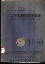上海第一医学院  人体组织胚胎学图谱（1959 PDF版）