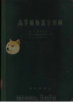 高等植物器官图解 1959 PDF电子版封面 13031·1080 (苏)费多洛夫,Ал.А.等著;匡可任编译