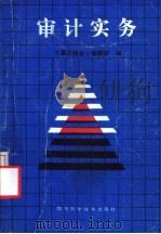 审计实务 1987 PDF电子版封面 15298·313 《重庆财会编辑部》编