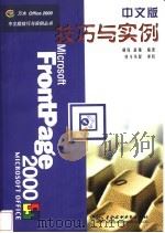 FrontPage 2000中文版技巧与实例 1999 PDF电子版封面 7508400127 胡伟,薛强编著