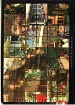城市立体绿化 1992 PDF电子版封面 7805134324 郝洪章,黄人龙主编
