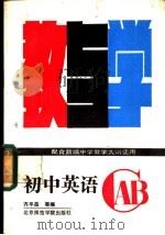 初中英语教与学 1988 PDF电子版封面 7810141384 齐平昌,王辰编著