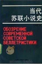 当代苏联小说史 1991 PDF电子版封面 7810096079 许贤绪著